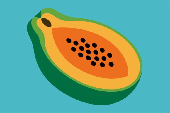 Download Papaya Cut Open Vector Illustration - Papaya Collection